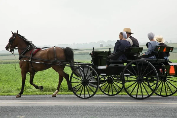 Amish Oil Change