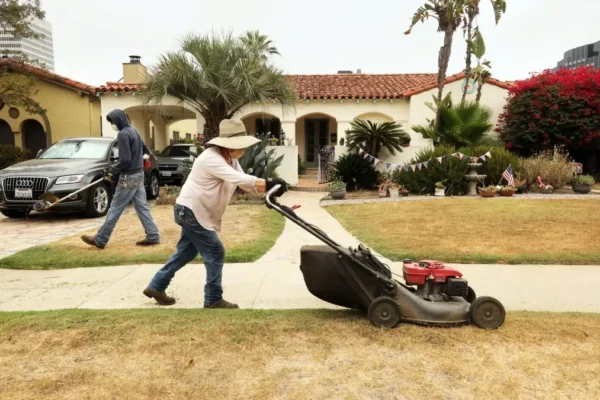 mexican lawnmower