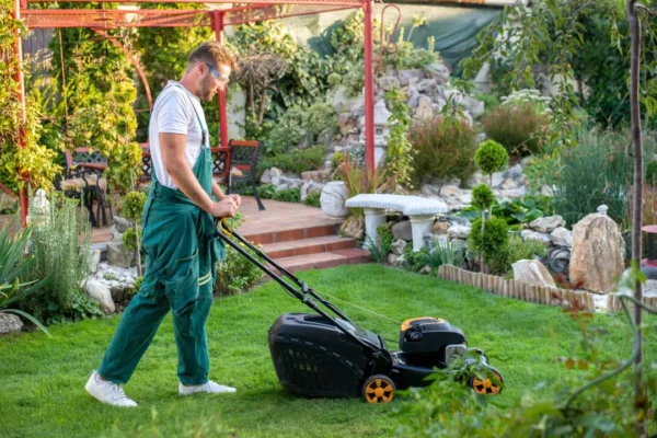 The Importance of Professional Lawn Care Services